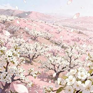 梨花满山