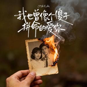 我也曾像个傻子拼命的爱你