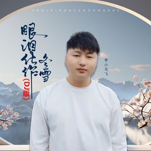 眼泪化作冬雪（男版DJ伴奏）