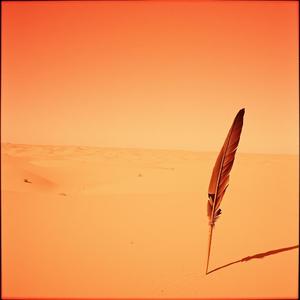 Məcnunam by @salsahalfnote4437