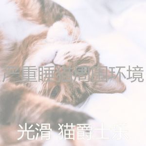 温和小猫梦想