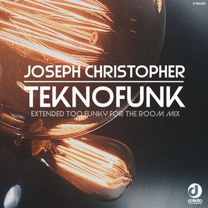 Teknofunk (Extended Too Funky for the Room Mix)