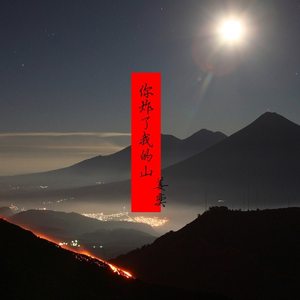 这短短的一生 (Remix)