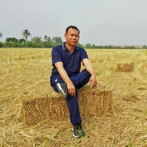 บทบาทของผู้แพ้