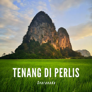 Tenang Di Perlis