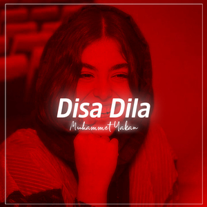 Disa Dila