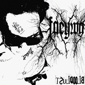 THE BALLAD OF VAMPIRE KNIGHT