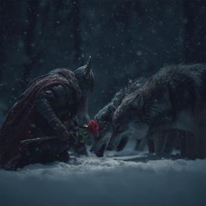 Rauðr Rós í Vetrnótt | Red Rose in the Winter Night