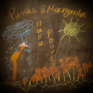 Παπαρούνες