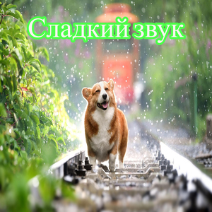 Сияющая песня