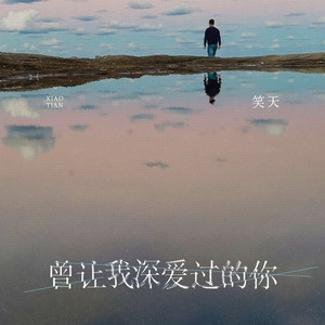 曾让我深爱过的你 (DJ沈念版)