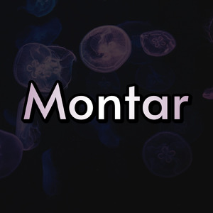 Montar