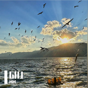 风穿过树林枝桠