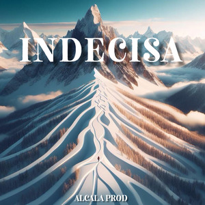 INDECISA