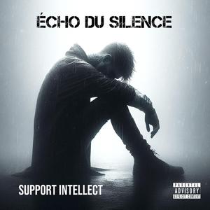 Écho du silence