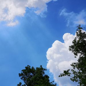 ドライフラワー干燥花