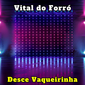 Amor de Rapariga (Cover)