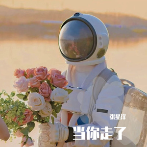 徐真真-当你走了.wav（张星洋 remix）