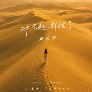 对不起打扰了
