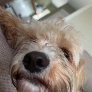 im seeing things that arent there