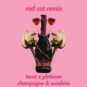 champagne & sunshine (rad cat remix)