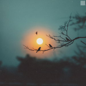 Early Bird