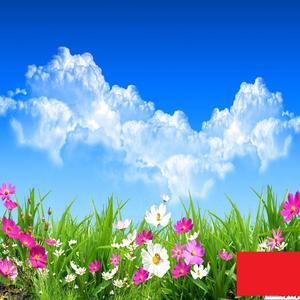 Rpqddmkvxpdlsry Fgunffsexgsihdtvhsu