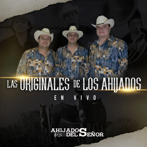 Que Me Toquen Pa Brindar