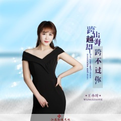 跨山越海却跨不过你 (DJ版)