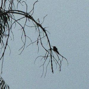 do you remember the first time we met?