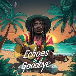 Echoes Of Goodbye (Single)