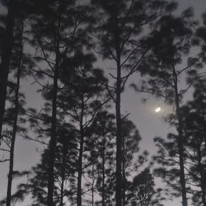 Forgiveness Dance Mix