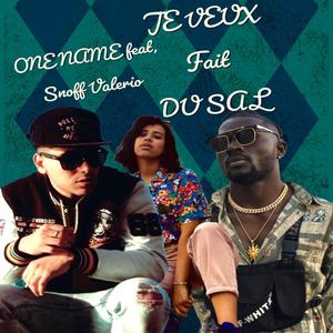 Je veux fait du sal (feat. Snoff Valerio)