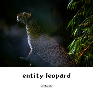 casualty communicant