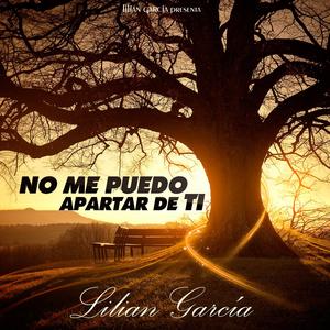 No Me Puedo Apartar de Ti