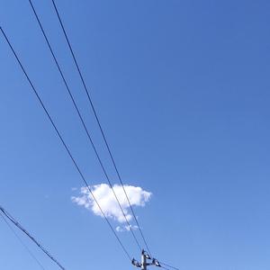 视线所及只剩生活