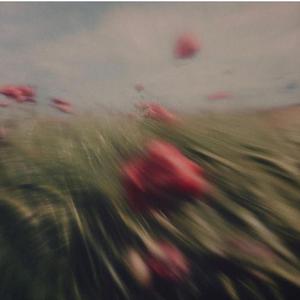 No applause everything is fine