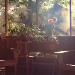 大灰狼与小白兔 (钢琴曲)