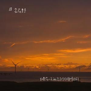 如果有一天我忘了你