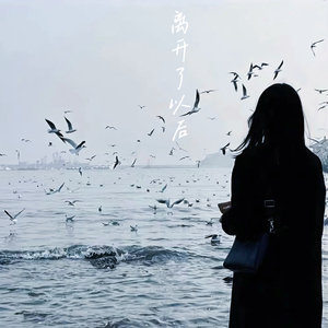 离开了以后（Remix）