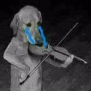 mad violin
