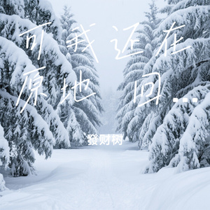 可我还在原地 回望你走的每一页