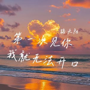 第一次见你我就无法开口