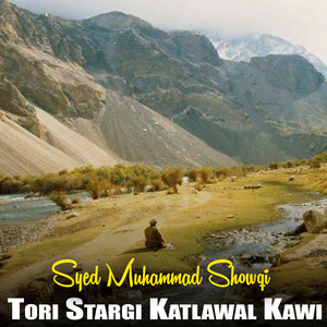 Par Bawan Mi Ushki Zi