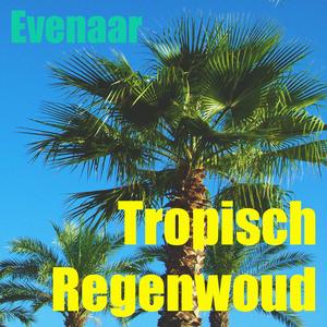 Tropisch Regenwoud