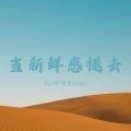 当新鲜感褪去