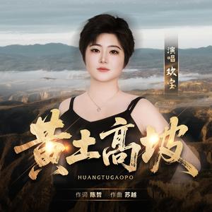 黄土高坡 (DJ阿能版)