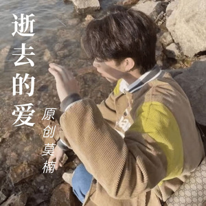 对不起我不爱了