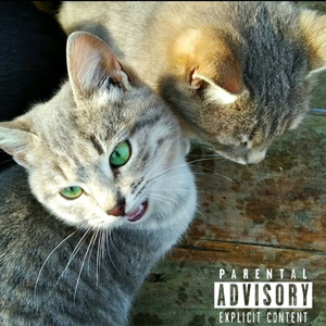 Если бы ты знала (Outro)