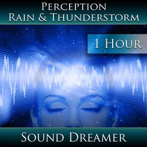 Perception - Rain and Thunderstorm - 1 Hour